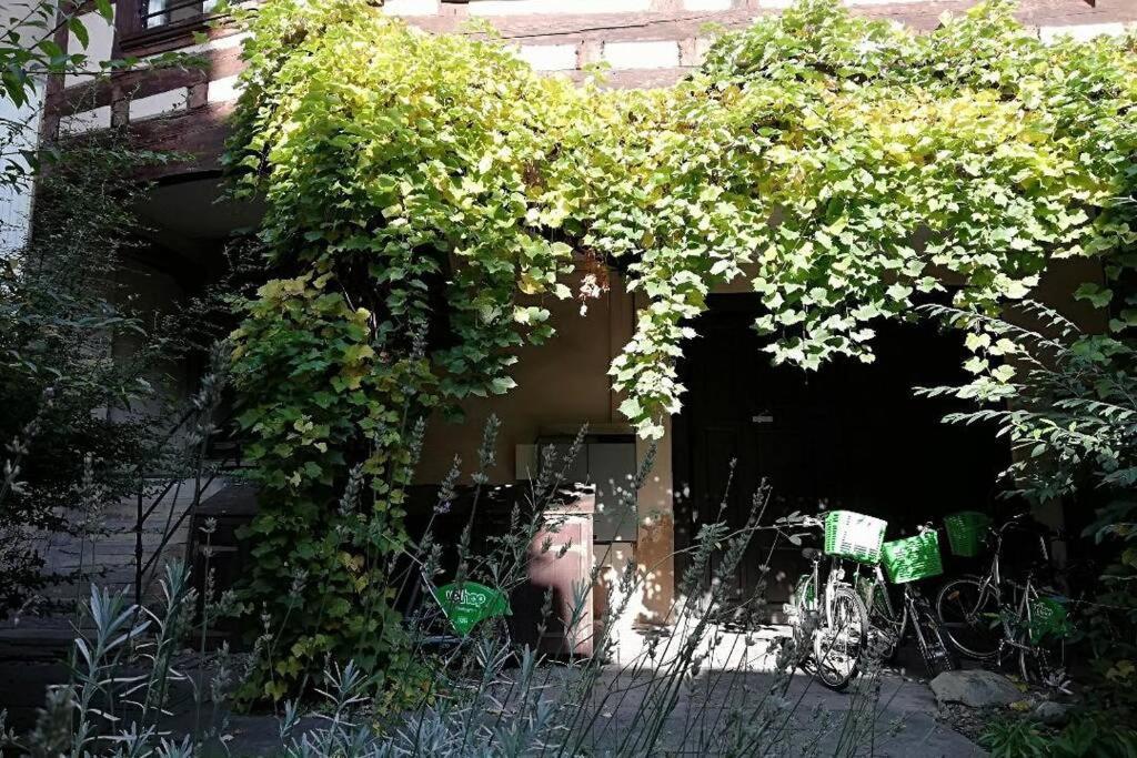 La Chaumiere Daire Strazburg Dış mekan fotoğraf